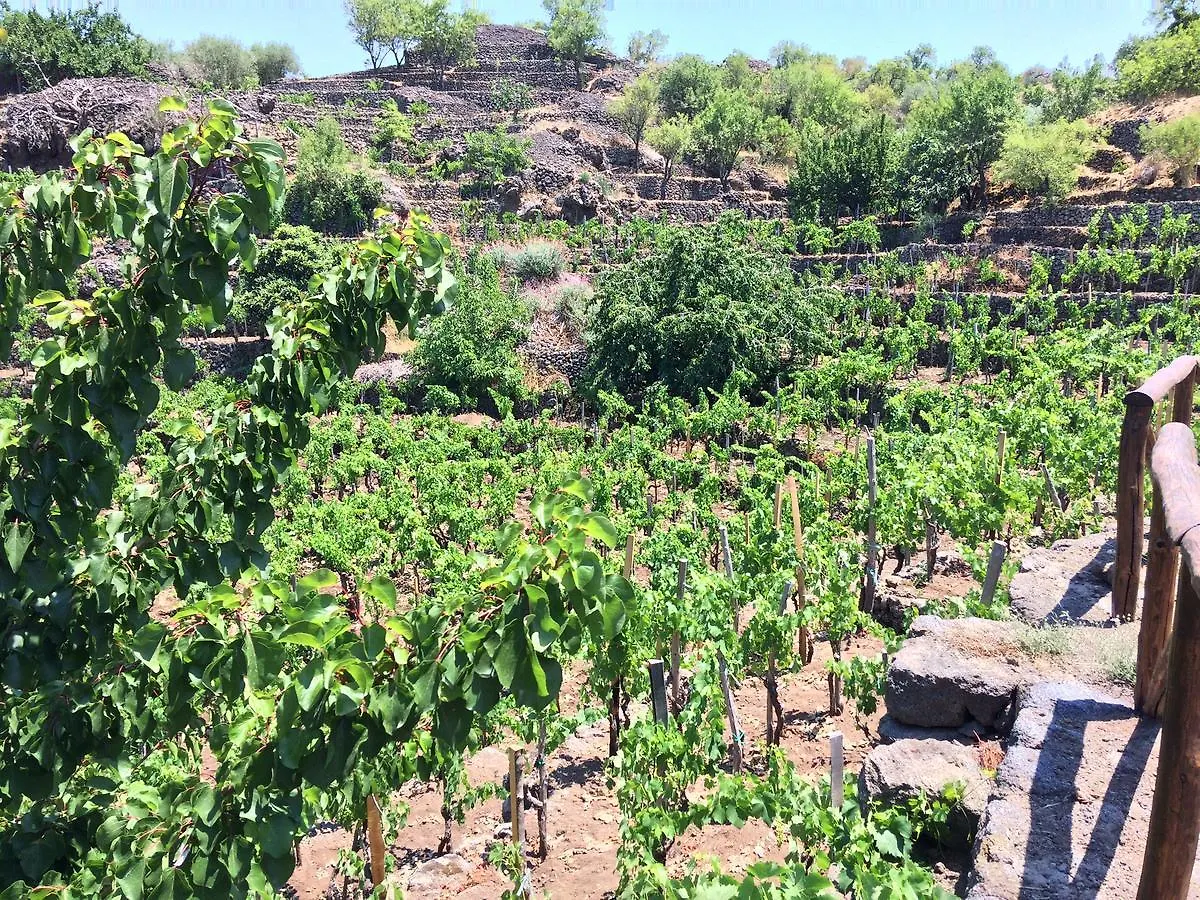 Rural House Etna Guest House Castiglione De Sicilia 0*,